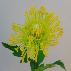 Artificial Leucospermum Protea Yellow and Lime 70cm - L105 