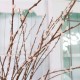 Pussy Willow Spray 93cm - PUS008 BAY3B Pussy Willow Spray 93cm - PUS008 BAY3B