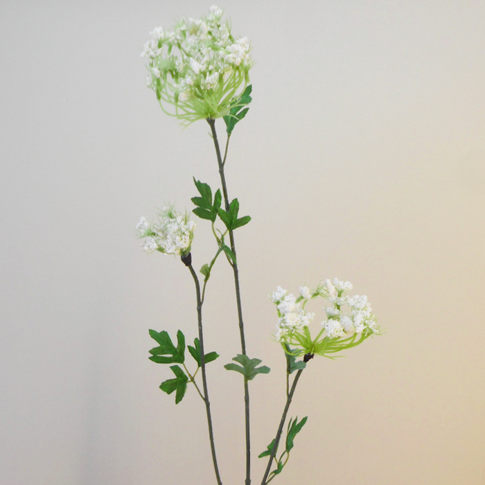 White Queen Anne's Lace, DIY Wedding Flowers