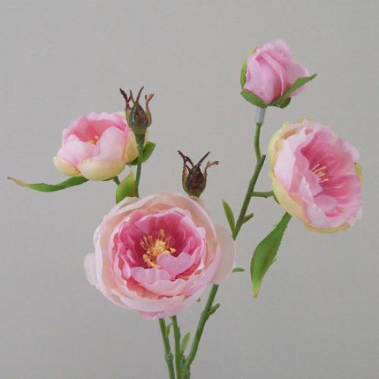 Ranunculus Flowers Pink Open 43cm - R427 P4