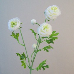 Silk Ranunculus Flowers White and Green 65cm - R660 M3