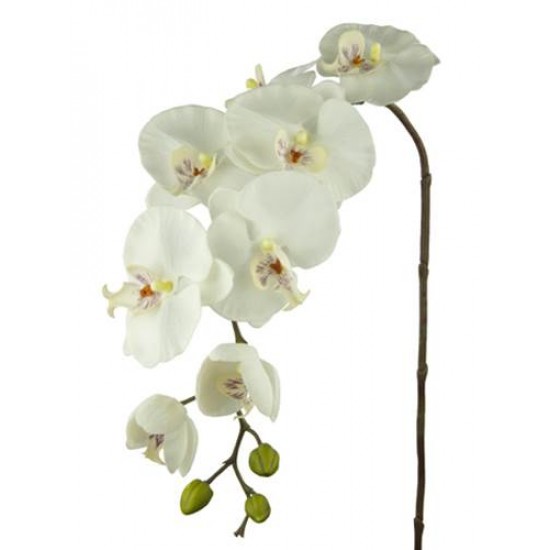 Real Touch Phalaenopsis Orchid Ivory Artificial Flowers