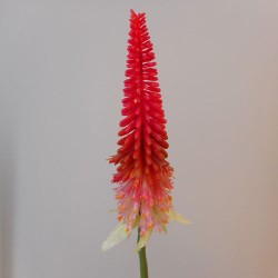 Artificial Red Hot Poker Large (Kniphofia) 70cm - R603 