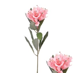 Artificial Rhododendron Blush Pink 60cm - R906 I4