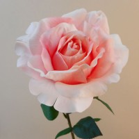 Real Touch Rose Ivory 78cm - R057 S1