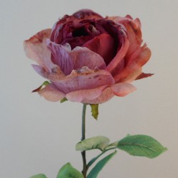 Antique Rose Dark Pink 72cm | Faux Dried Flowers - R260 M4