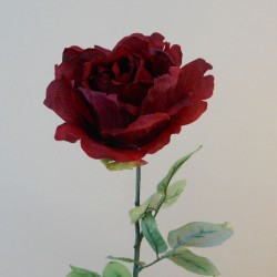 Antique Rose Red 72cm | Faux Dried Flowers - R263 M4