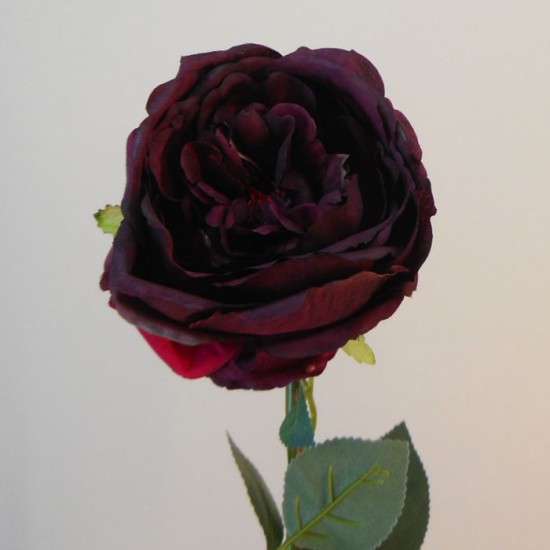 Artificial Cabbage Rose Burgundy 66cm - R822 
