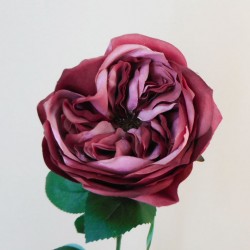 Artificial Cabbage Rose Dark Dusky Pink 60cm - R780 O2