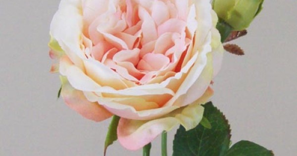 Artificial Cabbage Roses Peach 37cm | Artificial Flowers