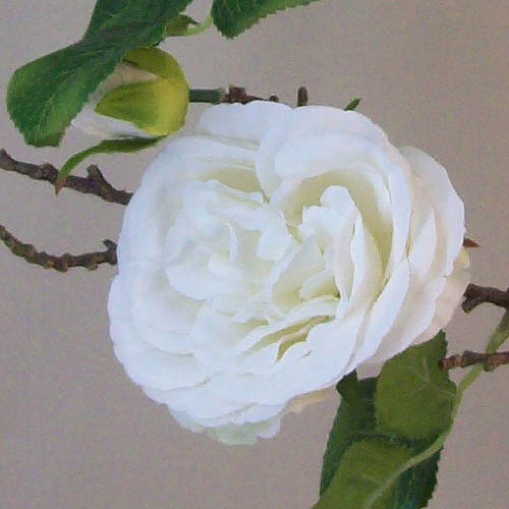 Artificial Cabbage Roses Branch Cream 90cm | Artificial Flowers