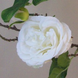 Artificial Cabbage Roses Branch Cream 90cm - R802 R1