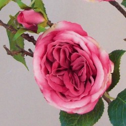 Artificial Cabbage Roses Branch Pink 90cm - R804 M4