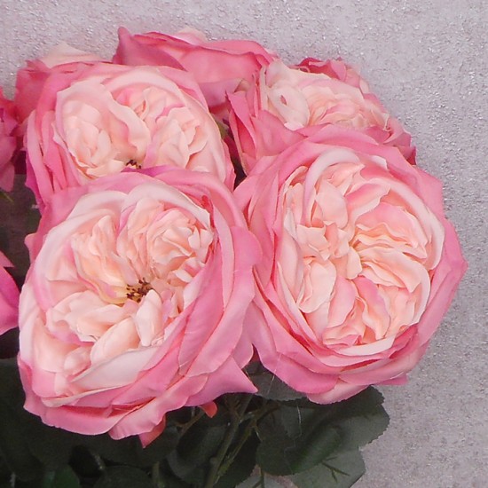 Artificial Cabbage Rose Bright Pink 60cm - R765 P3