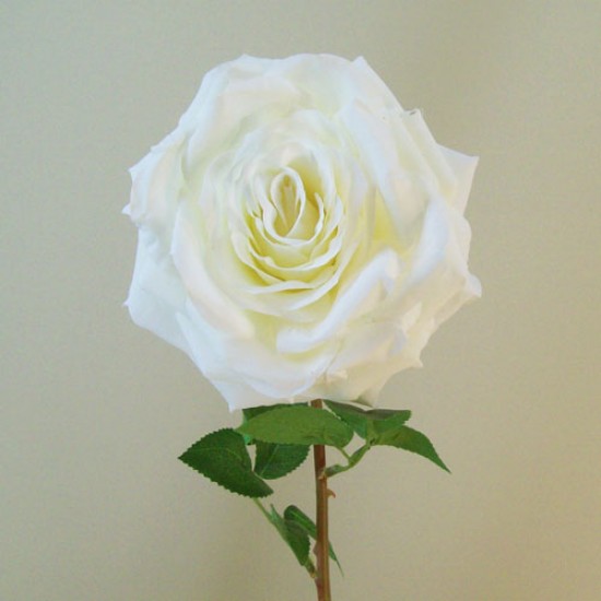 Artificial Roses Cream | Pope John Paul II 76cm - R851 M4