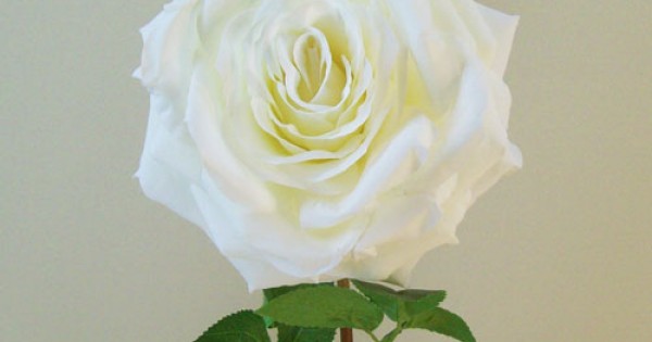 Artificial Eternity Roses Cream 60cm - R831 M3