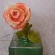 Roses Miss Havisham Dark Peach 64cm - R520 L4