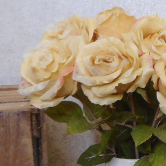 Roses Miss Havisham Warm Cream 64cm - R517 N3