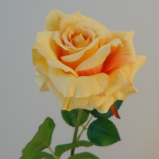 Artificial Rose Saffron Yellow 56cm - R599 M4