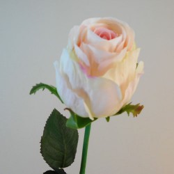 Belgravia Rose Cream Pink 71cm - R030 L4