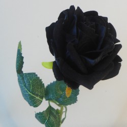 Black Velvet Rose 47cm - R319 O1