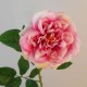 Calypso Artificial Ruffled Rose Pink 70cm - R537 R2