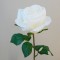 Artificial Rose Carnival Cream Flowers 47cm - R106 M2