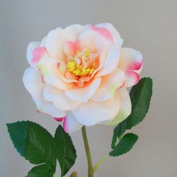 Diana Rose Apricot 41cm - R850 BX13