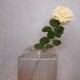 Fleur Artificial Rose Lemon Sweet Honey 63cm - R649 FF4