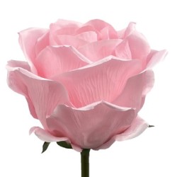 Giant Silk Rosebuds Pink 130cm | VM Display Prop - R969