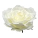Giant Silk Roses Cream 130cm | VM Display Prop - R966 