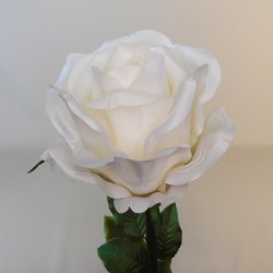 Giant Silk Roses Cream | VM Display Prop - R550 DD4