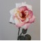 Harvest Moon Artificial Roses Pink and Vanilla Cream 62cm - R183 P3