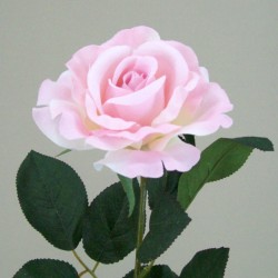 Premium Roses Pink 70cm - R014E M4