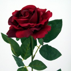 Premium Roses Red 70cm - R014c L3