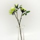 Artificial Old Roses Spray Green Short Stem 41cm - R155 O4