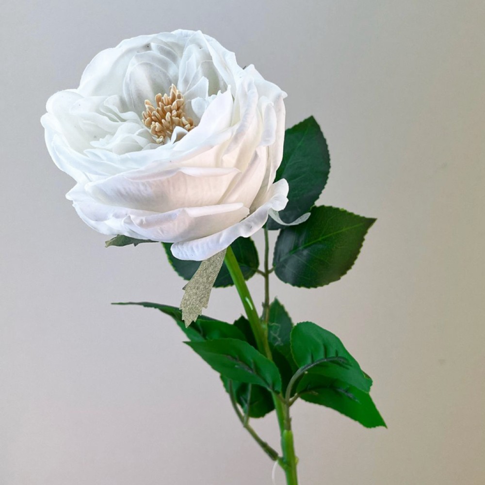 Fresh Touch Cabbage Roses White 60cm | Artificial Flowers