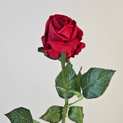 Real Touch Rose Bud Red 55cm - R299 O3