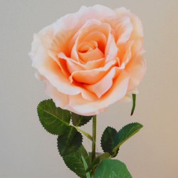 Richmond Artificial Rose Peach 72cm - R381 L1