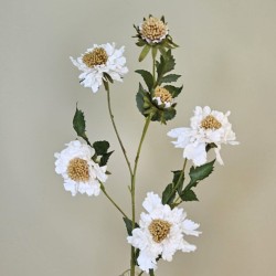 Silk Scabious Flowers Warm Cream 73cm | Artificial Scabiosa - S028 R2