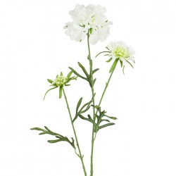 Double Silk Scabious Flowers White | Artificial Scabiosa - S134 BX1