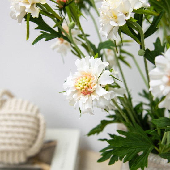 Silk Scabious Flowers Cream 72cm | Artificial Scabiosa - S094 EE3