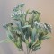 Artificial Sedum Green 31cm - S124 R4