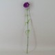 Silk Carnation Purple 60cm - C009 D2
