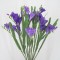 Silk Freesias Bunch Purple 50cm - F005 G2