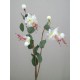Silk Double Fuchsia Stem Ivory 50cm - F026 H3