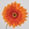 Silk Gerbera Orange 65cm - G020 F4