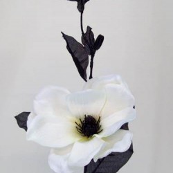 Silk Magnolia White and Black 70cm - M010 I3
