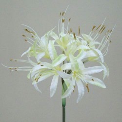 Silk Nerine Lily Cream with a hint of Green 70cm - N005
