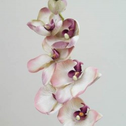 Vintage Phalaenopsis Orchid Pink 81cm - O047 K3